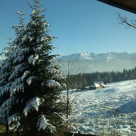 Panorama Tatr Hotel Zakopane Exterior foto