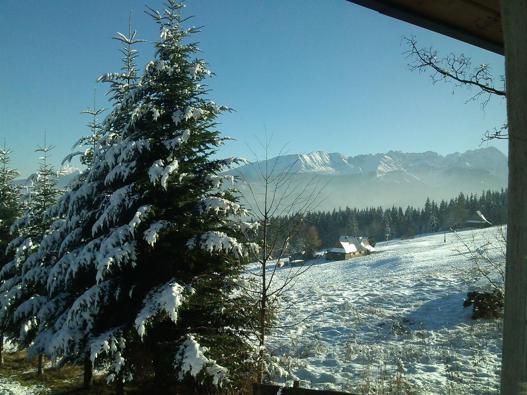 Panorama Tatr Hotel Zakopane Exterior foto