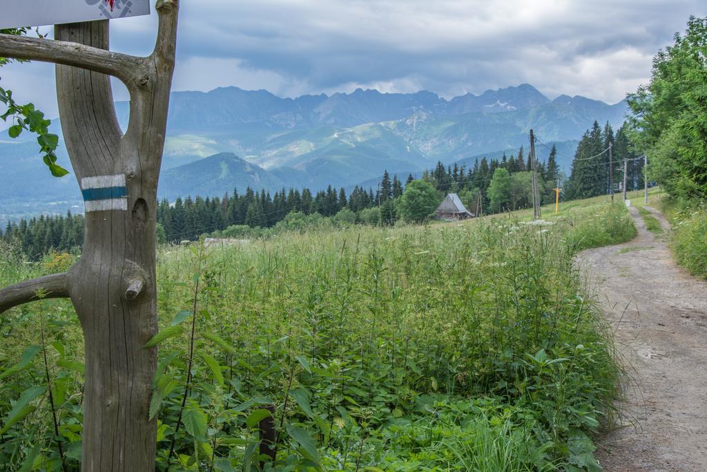 Panorama Tatr Hotel Zakopane Exterior foto